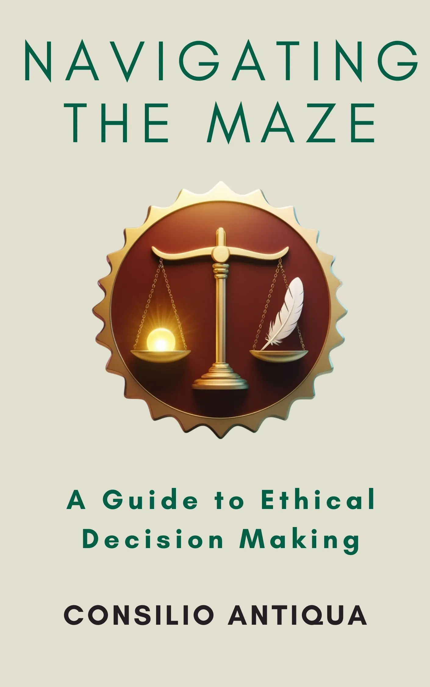 Cover of Navigating the Maze